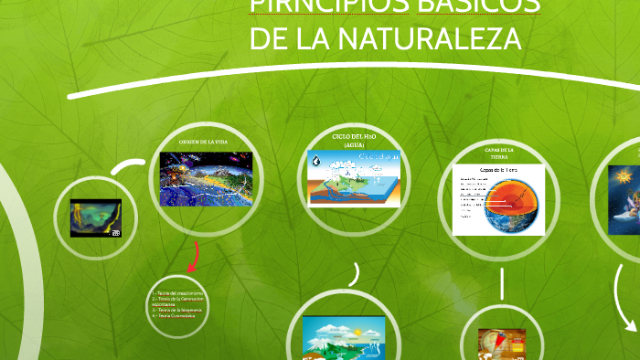 Los 8 Principios De La Naturaleza prezi.com