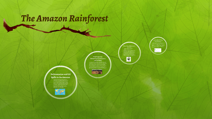 The Amazon Rainforest by Hannah BonGiorno on Prezi