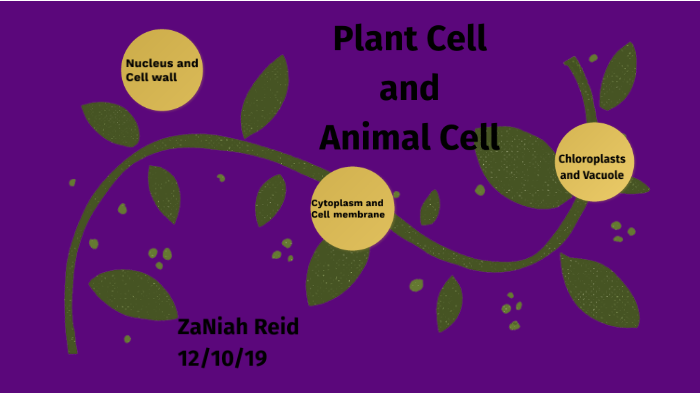 Plant and Animal cells by Za'Niah Reid on Prezi