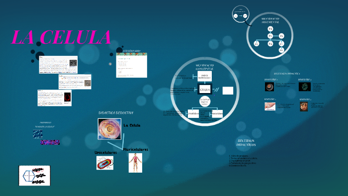 LA CELULA by Giselle Perez on Prezi