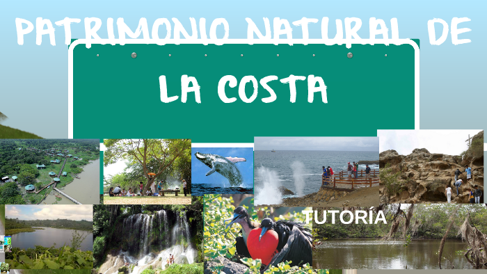 Patrimonio Natural De La Costa By Gabriela Castro On Prezi Next