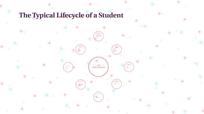 Student Lifecycle by Samantha Curtis on Prezi