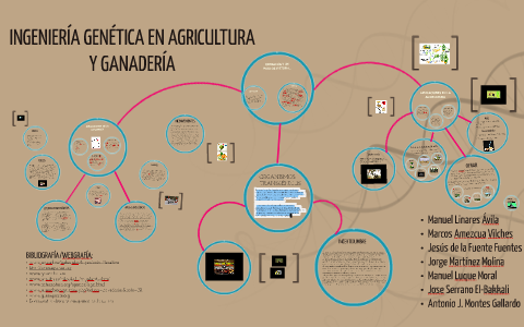 Ingenieria Genetica En Agricultura Y Ganaderia By Antonio Montes
