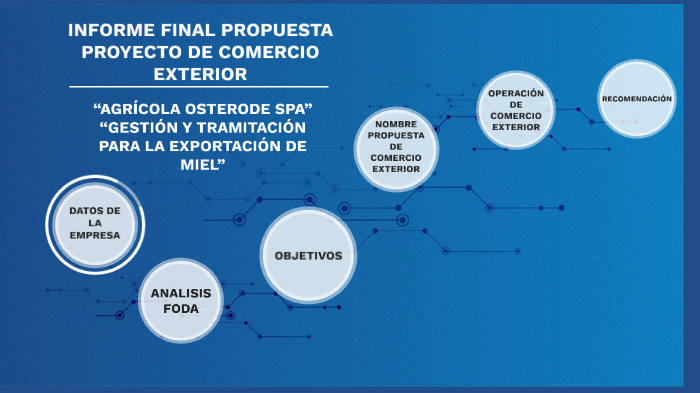 Titulo Comex by Raul Valladares Garcia Huidobro on Prezi Next