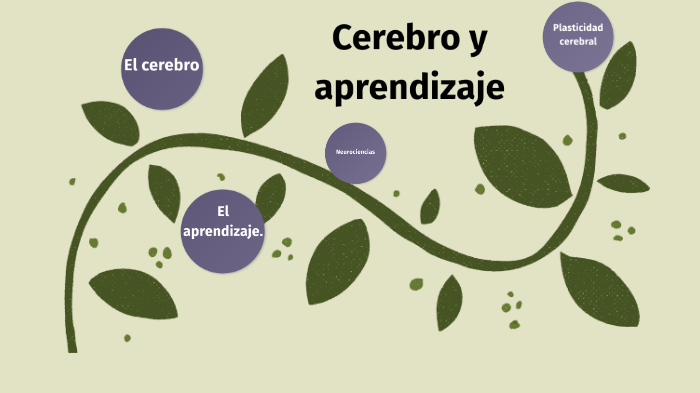 ¡El cerebro y el aprendizaje! by yessika vega on Prezi