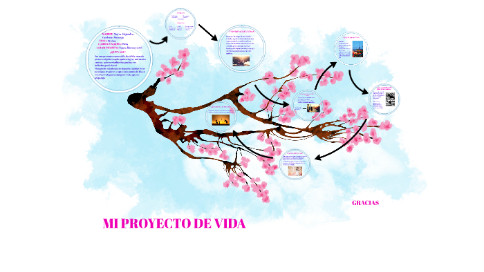MI PROYECTO DE VIDA by paula salazar on Prezi