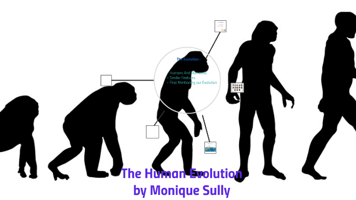 The Human Evolution by Monique Sully on Prezi