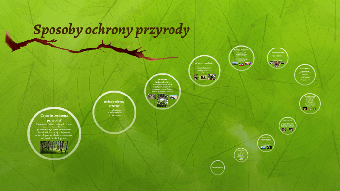 Poznajemy Sposoby Ochrony Przyrody Sprawdzian Sposoby ochrony przyrody by Adam Fujarewicz on Prezi