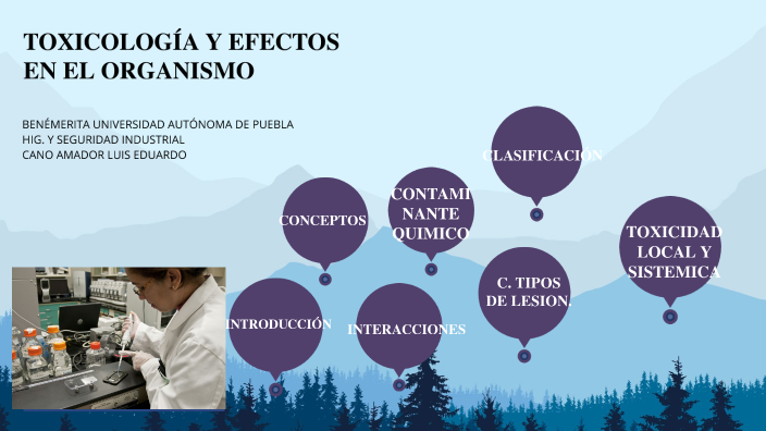 TOXICOLOGIA Y EFECTOS EN EL ORGANISMO by Luis Cano