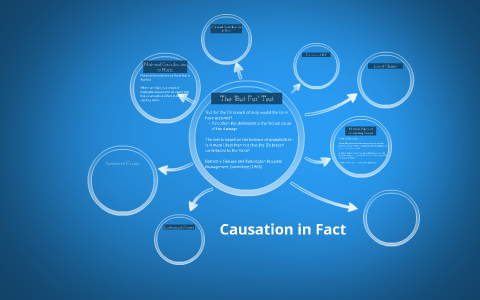 What Is Meant By Causation In Fact? – BAHG