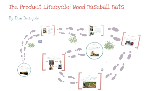 bat life cycle diagram