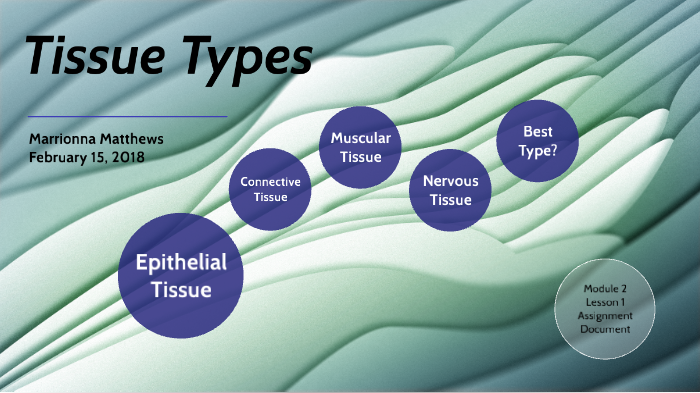 Module 2 Lesson 1 Assignment Document by Marrionna Matthews on Prezi