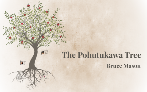 the pohutukawa tree essay