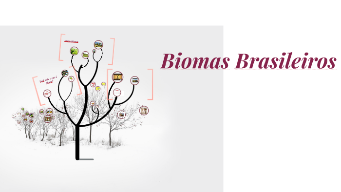Biomas Brasileiros by Flávia Fragoso Barbosa on Prezi