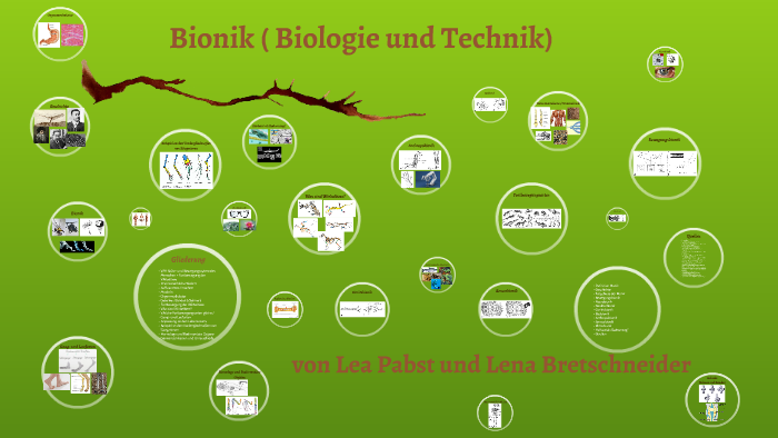 Bionik ( Biologie Und Technick) By Dominique Spitzner On Prezi