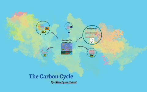 The Carbon cyCle by rhaelynn hutzel on Prezi