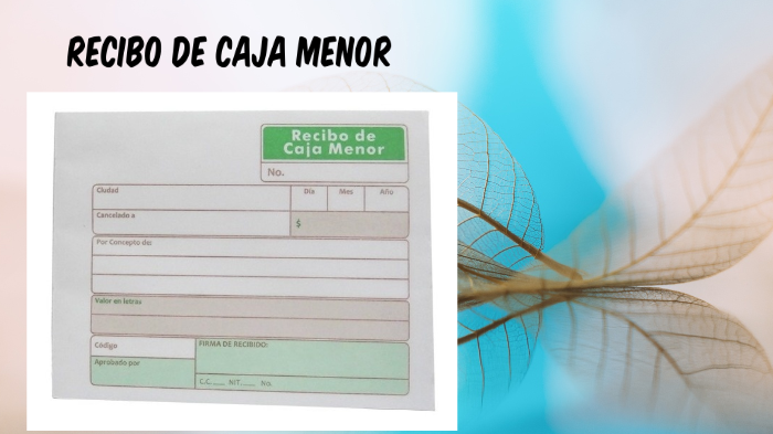 Recibo De Caja Menor By Luisa Fernanda Giraldo Rojas 8301