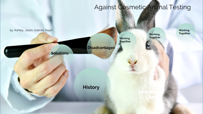 cosmetic animal testing by Ashley Alfaro