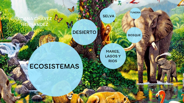 ECOSISTEMAS by Yoana Chávez on Prezi