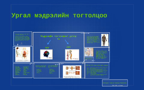 Ургал мэдрэлийн тогтолцоо by gulmira saindolda on Prezi
