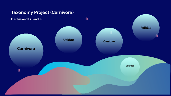 taxonomy-project-by-lilliandra-lapanne