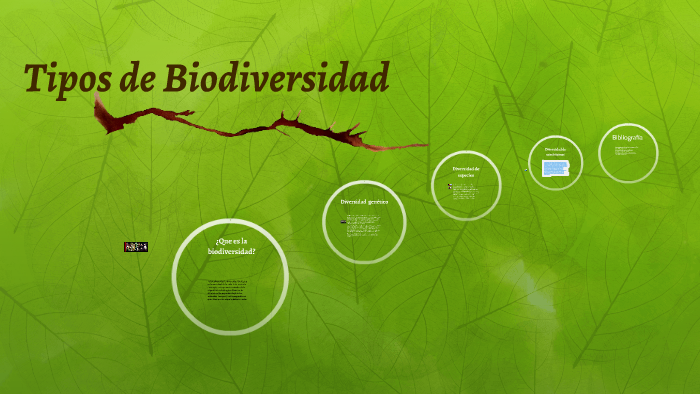 Tipos De Biodiversidad By Ulises Carrillo On Prezi