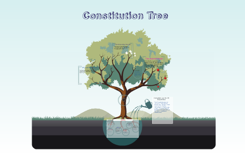 Constitution Tree Image Chart.pdf Constitution Tree by Naomi V. on Prezi