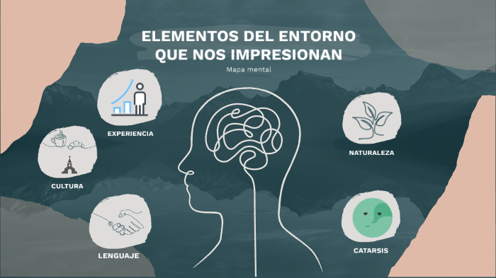 Que Elementos De Mi Entorno Me Impresionan O Emocionan