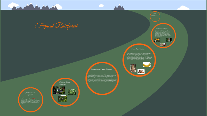 Tropical RainForest Presentation by on Prezi