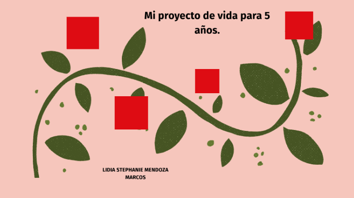PROYECTO DE VIDA PARA 5 AÑOS by Karla Villatoro on Prezi