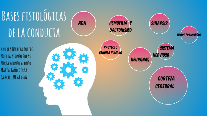 Bases fisiológicas de la conducta by María Taño on Prezi