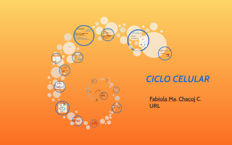 Ciclo celular by on Prezi