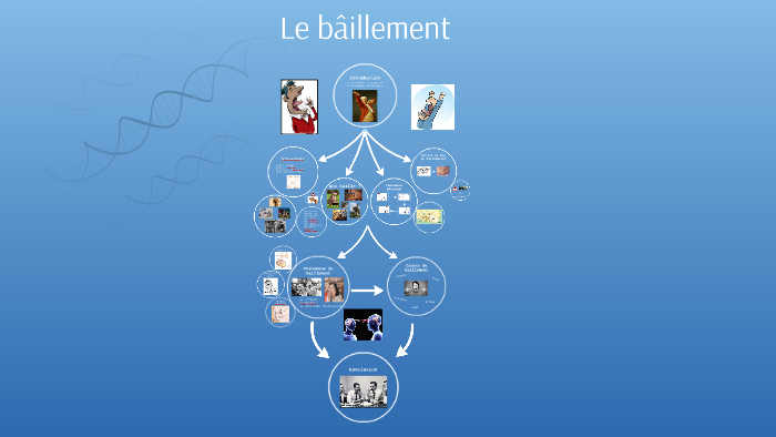 TPE le baillement by Pierrick Mallauran