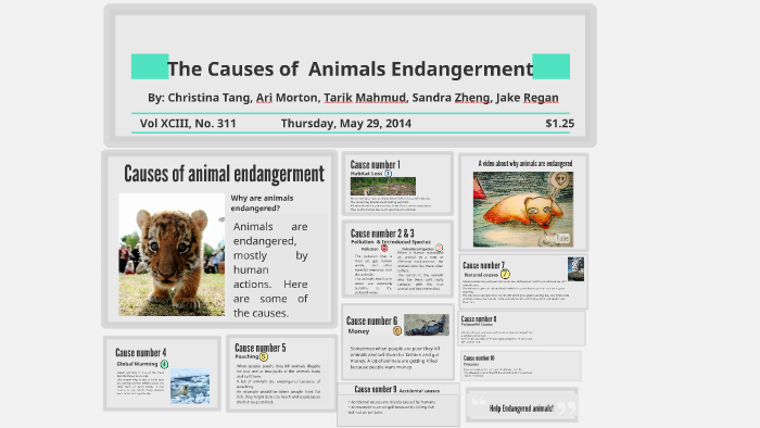 The causes of endangered animals by Bob Gimbleshump