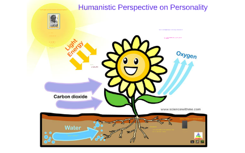 the humanistic perspective of personality