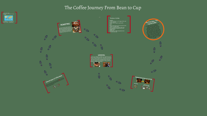 The Coffee Journey From Bean to Cup by bailey puvogel on Prezi