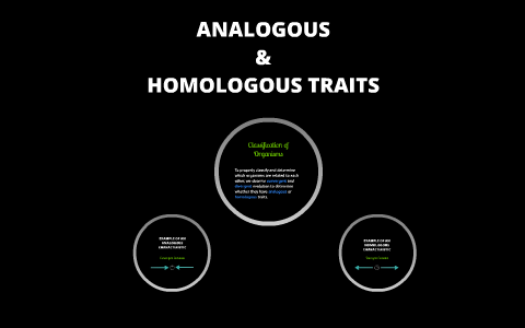 ANALOGOUS & HOMOLOGOUS TRAITS by Claire Hicks on Prezi