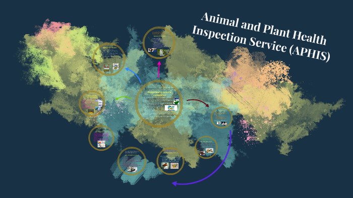 Animal And Plant Health Inspection Service (APHIS) By Elexis Milligan ...