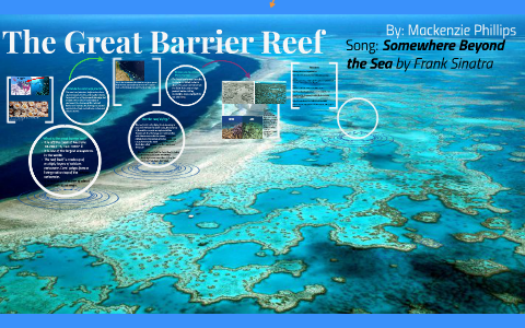 The Great Barrier Reef by Mackenzie Phillips on Prezi