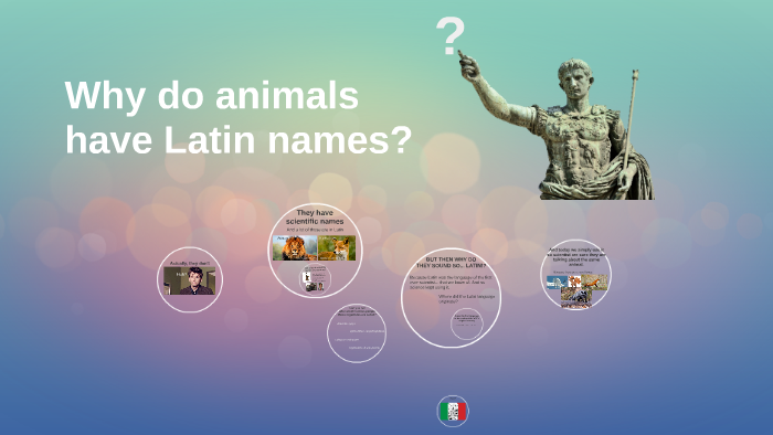 why-do-animals-have-latin-names-by-franka-mourits