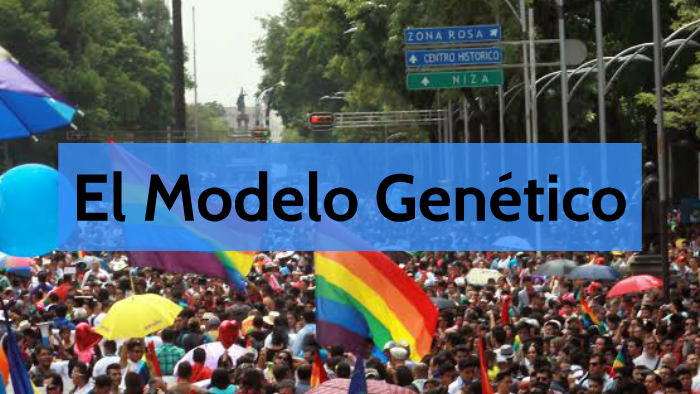 Modelo Genetico by Lilia Guadalupe Nieblas Gutierrez