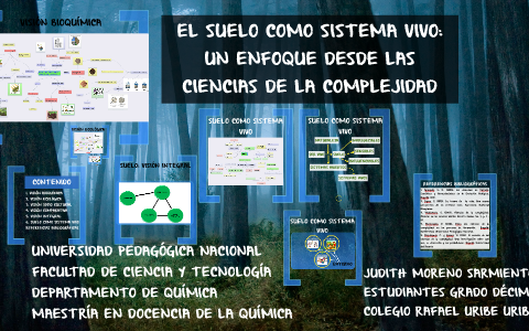 EL SUELO COMO SISTEMA VIVO by Judith Moreno