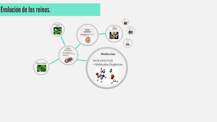 Evolución de los reinos. by Miranda Martinez on Prezi