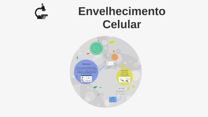 Envelhecimento Celular by Sofia bento on Prezi
