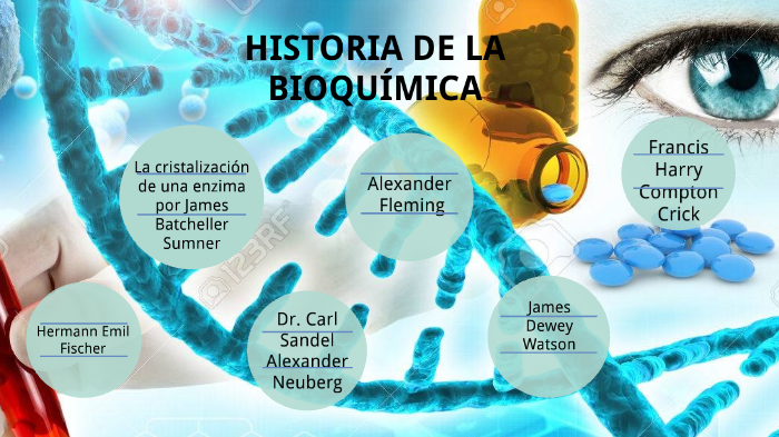 HISTORIA DE LA BIOQUIMICA By Stephanie Malla On Prezi