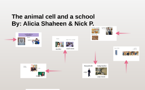 The animal cell and a school by Alicia Shaheen on Prezi