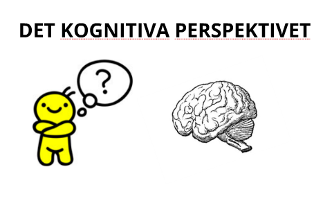 Det Kognitiva Perspektivet By Sofia Andersson On Prezi