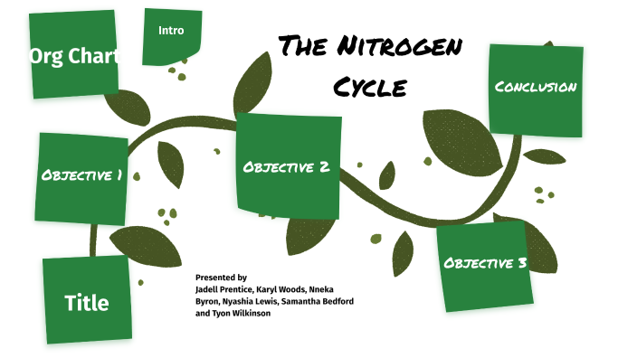 The Nitrogen Cycle by Kai Woods on Prezi