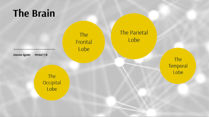 Superhero Brain Project GS By Gianna1 Sgotto On Prezi Next