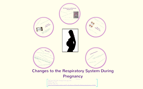 Changes in the Respiratory System During Pregnancy by Larissa Plett on ...